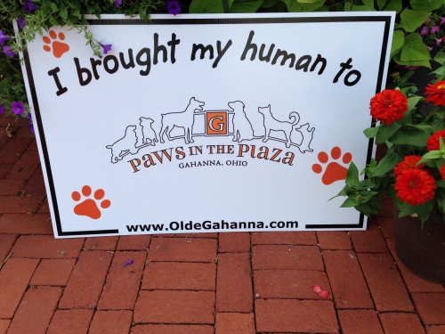 Paws in the Plaza