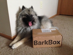 august barkbox unboxing
